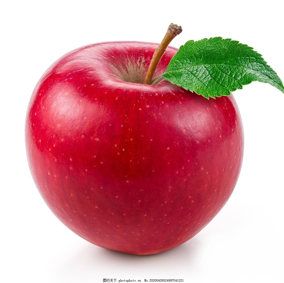 Professional Food Photography